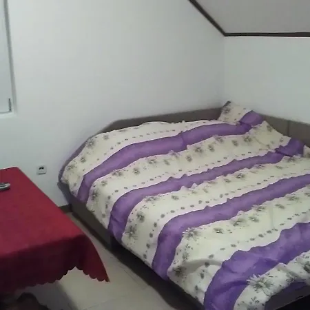 Apartment Mitic *
