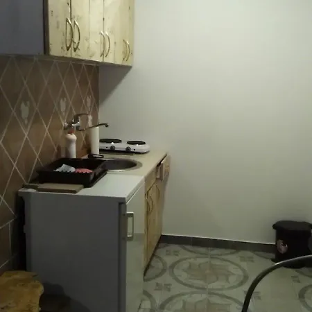 Apartment Mitic *